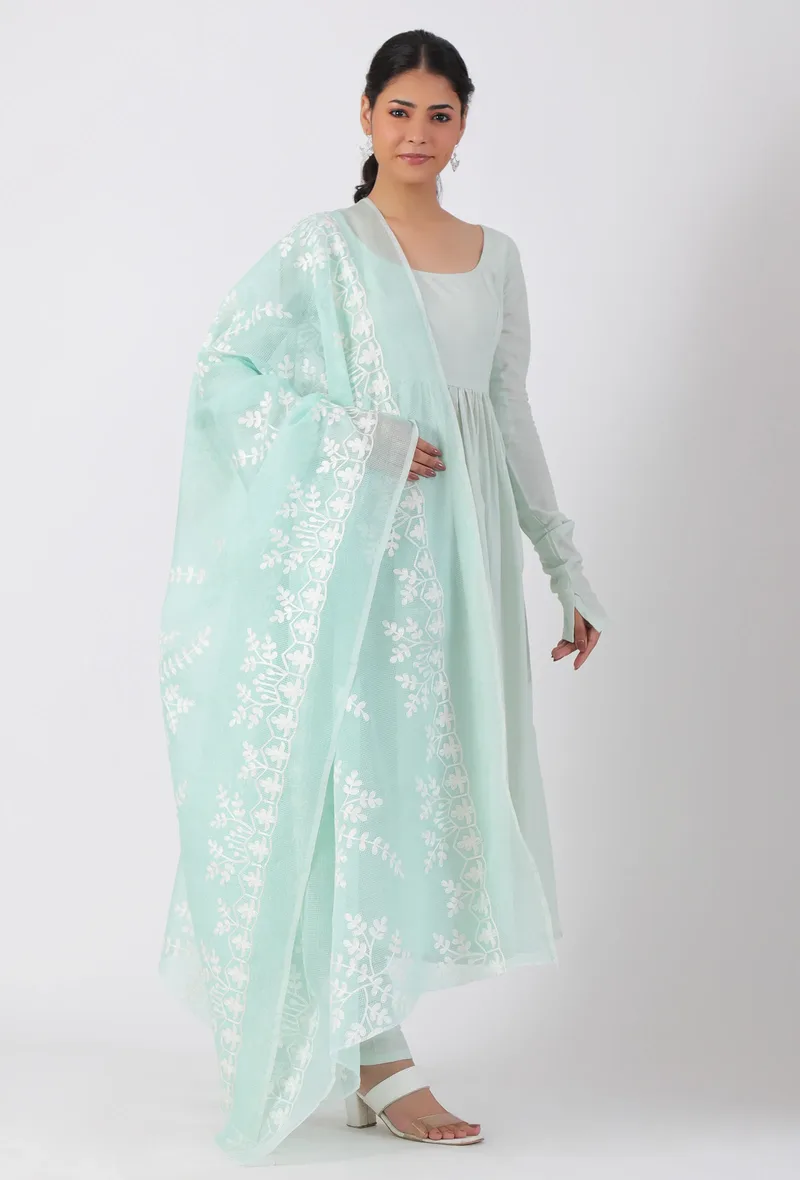 Ice Blue Chickoo Net Dupatta
