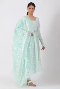 Ice Blue Chickoo Net Dupatta image 1