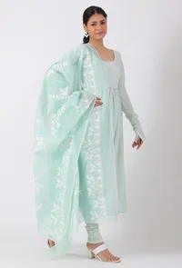 Ice Blue Chickoo Net Dupatta image 2