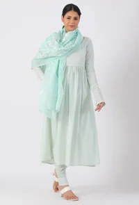 Ice Blue Chickoo Net Dupatta image 3
