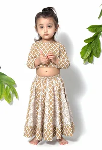 Set of 2 - Aurora Brown Floral Cotton Blouse and Lehenga image 1