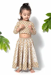 Set of 2 - Aurora Brown Floral Cotton Blouse and Lehenga image 3