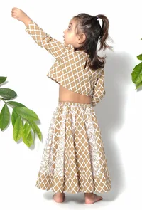 Set of 2 - Aurora Brown Floral Cotton Blouse and Lehenga image 4