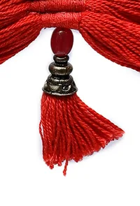 Eliana Red Tassels Thread Earrings image 4